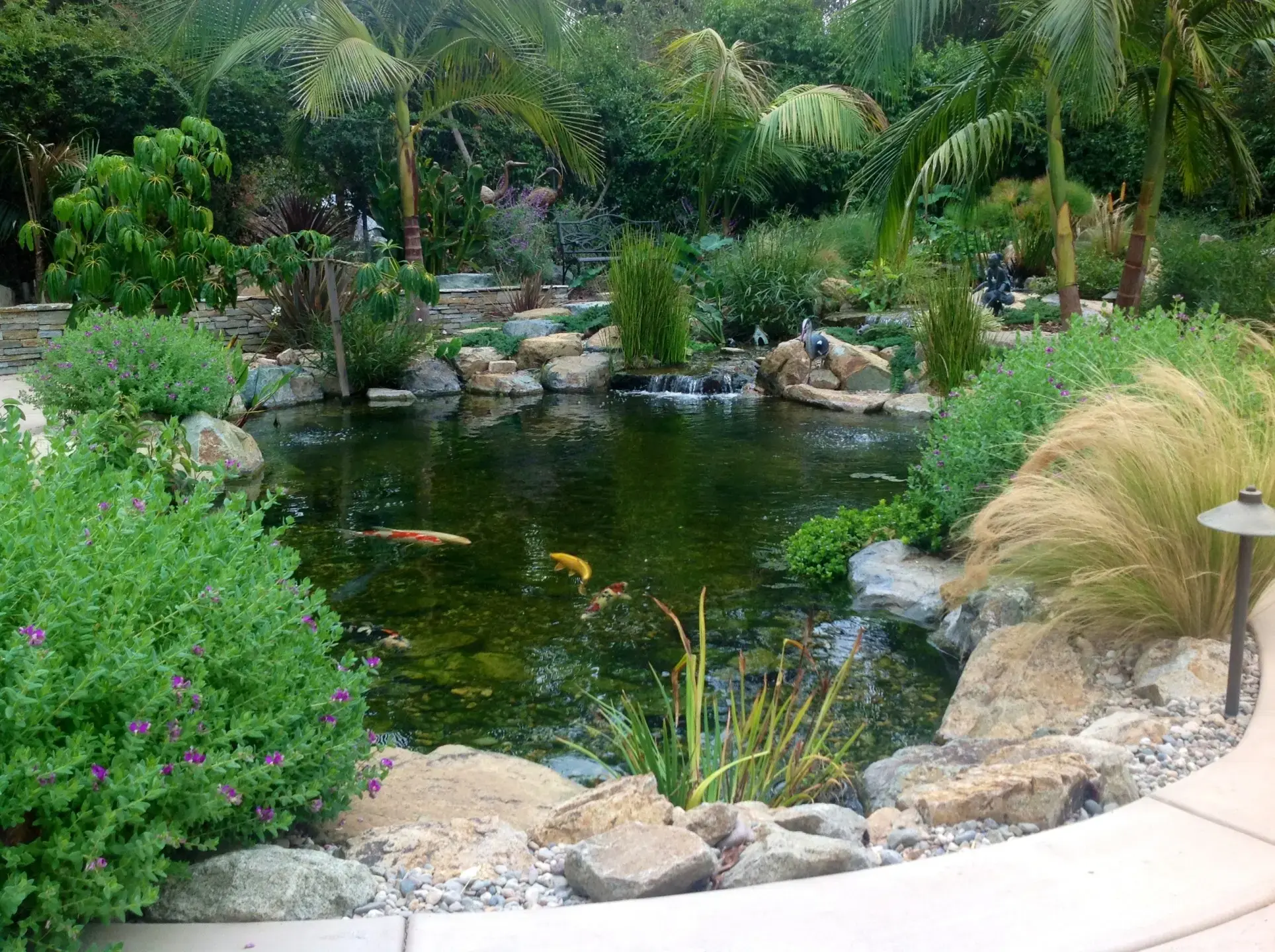 Eco Ponds