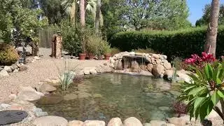 Backyard pond San Juan Capistrano California