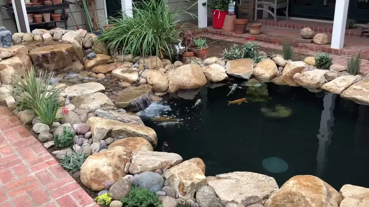 Koi Pond in La Jolla, CA